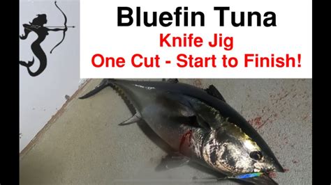 Catching A Bluefin Tuna On A Knife Jig Showing Steps Along The Way