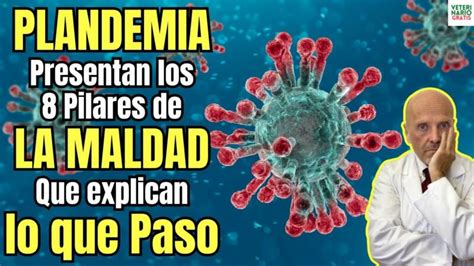 Hemoparásitos En Perros Causas Síntomas Y Tratamiento