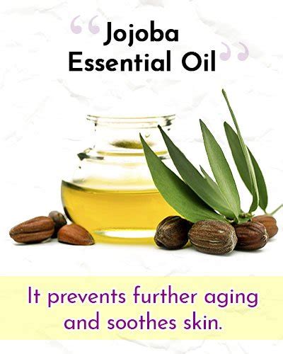 Essential Oils For Wrinkles And Younger Skin Uses And Benefits