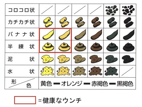 便秘と下痢、ガンを迎え撃つ！大便で健康チェック、ウンチ確認表 びんちょうたんコム