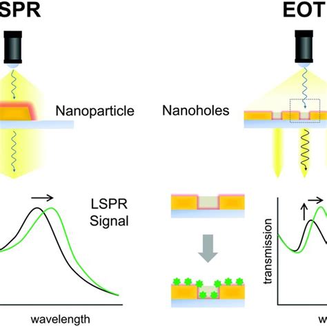 Schematic Illustration Of Principles Of The Plasmonic Metallic