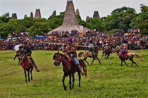 Kampung Adat Kampung Adat Sumba Barat