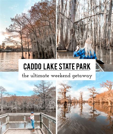 Caddo Lake State Park » Haus von Floof