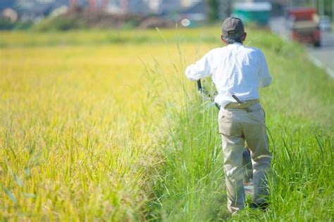 農業のハイテク化、進む。日本と海外の違い 農業メディア│think And Grow Ricci