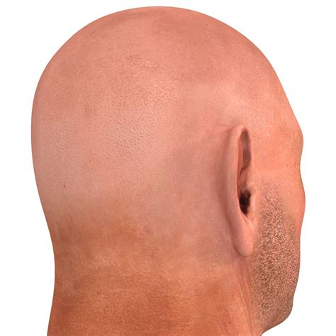 Male Head 14 3d Model 99 Obj C4d 3ds Max Ma Free3d