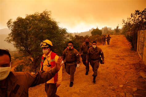 Conaf Confirm Intencionalidad Extrema Del Incendio Que Afecta A Quilpu