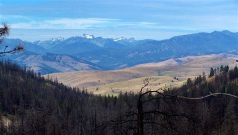 Loup Loup Pass By Bicycle Velo Fahrrad