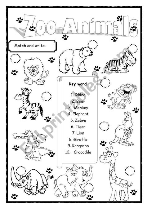 Zoo Animals Esl Worksheet By Saifonduan