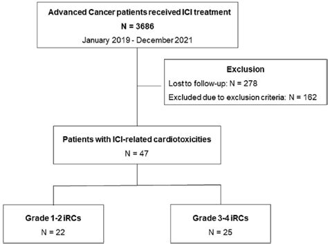 Flowchart Illustrating Enrolment Ici Immune Checkpoint Inhibitor