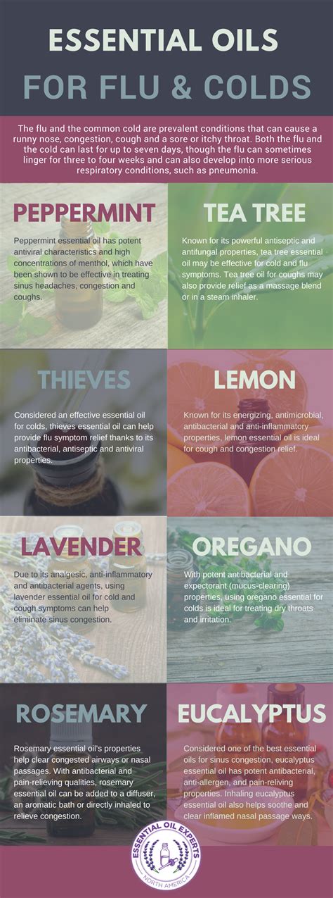 The Most Effective Essential Oils For Fighting Cold And Flu Infographic