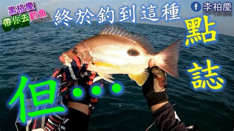 我真的難睡了～永安敲底郎蝦 釣魚敲底郎蝦石斑船釣泡綿船fishing Youtube