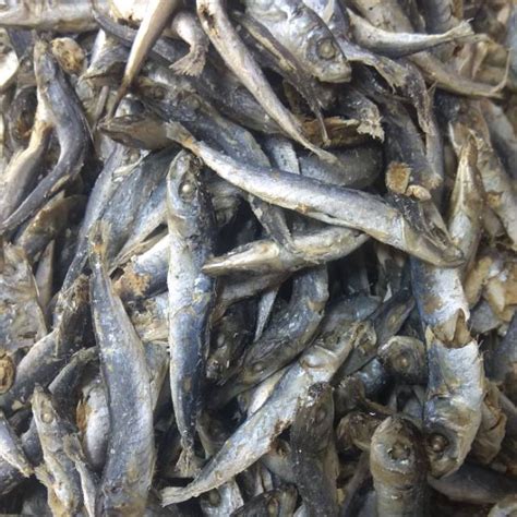 Jual Ikan Sampah Rebusan Medan Berat 250 Gram Shopee Indonesia