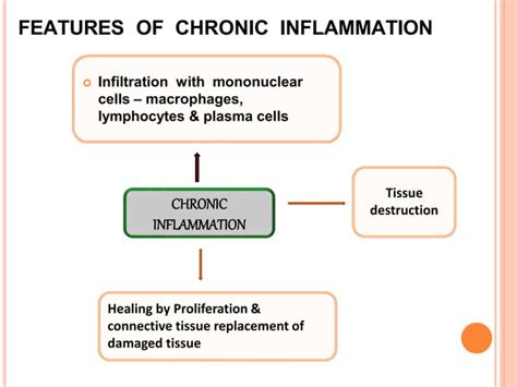 Patho Inflammation Ppt