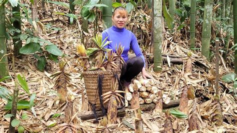 FULL VIDEO 70 Days Harvest Giant Bamboo Shoots Wild Tubers Bring