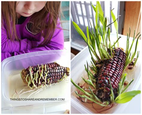Indian Corn Play & Learn Activities