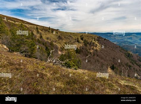 Belchen In Black Forest Hi Res Stock Photography And Images Alamy