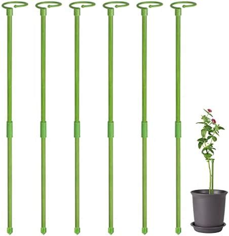 Monstera Tuteurs Ronds Pour Plantes Grimpantes Cm Support Pour