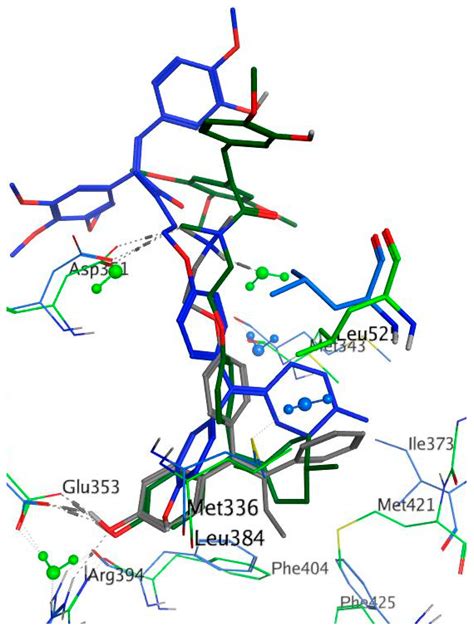 Molecules Free Full Text Novel Selective Estrogen Receptor Ligand