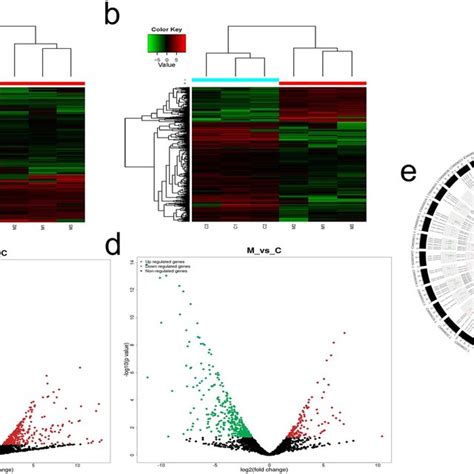 Differentially Expressed Lncrna And Mrna Revealed By High Throughput