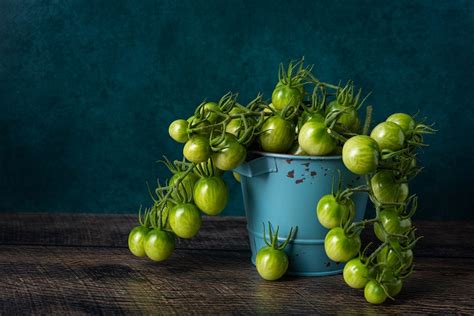 Que faire avec des tomates vertes en automne et comment les faire mûrir