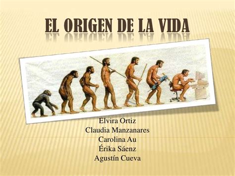 Origen De La Vida