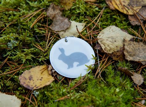 Kotimainen Heijastin Kanin Kuvalla Tierran Lemmikkipuoti