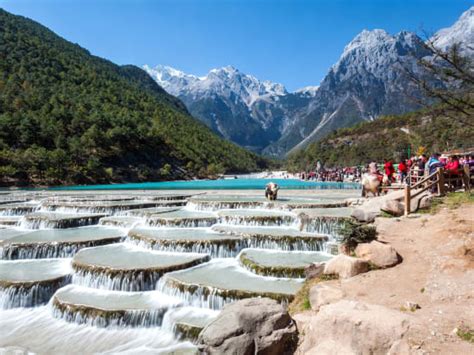 Lijiang Yak Meadow At Jade Dragon Snow Mountain And Shuhe Ancient Town