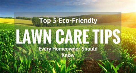 Top 5 Eco-Friendly Lawn Care Tips Every Homeowner Should Know | My ...