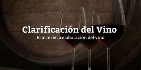 Clarificación del vino El arte de la elaboración del vino Tienda