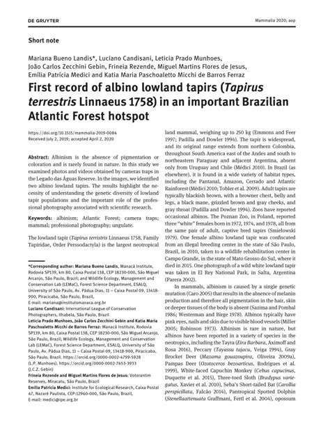 Pdf First Record Of Albino Lowland Tapirs Tapirus Terrestris Linnaeus 1758 In An Important