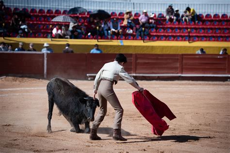 Tauromaquia La Dominación Considerada Arte Clamor De Libertad