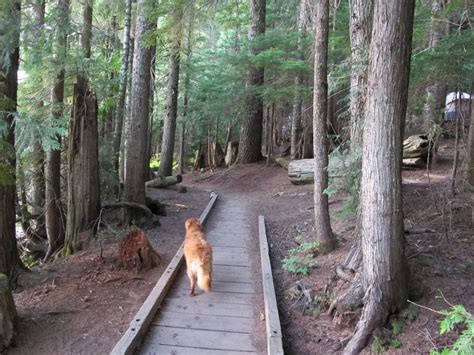 Lost Lake Campground and Resort - Oregon