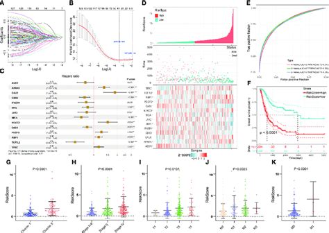 Construction Of The Novel Immune Related Gene Signature Based On Emt