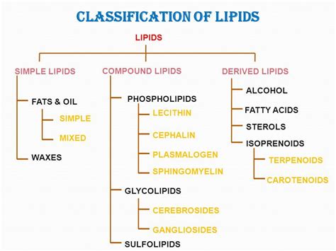 Lipids Classification | Biochemistry notes, Clinical chemistry ...