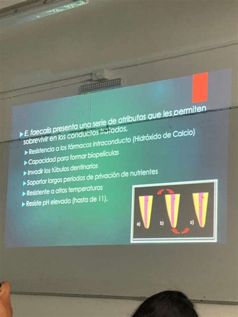 Sistema Digestivo Rompecabezas En L Nea