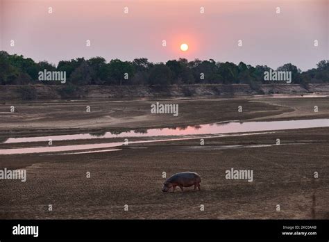 Atardecer En El R O Luangwa Sur El Parque Nacional Luangwa Del Sur