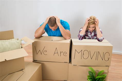 Moving In/Move Out ⋆ Bella Villa 31 ⋆ Move-In/Move-Out Services