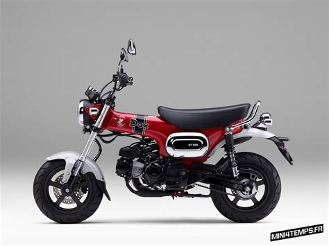 Le Honda Dax Fait Son Grand Retour Mini Temps Fr