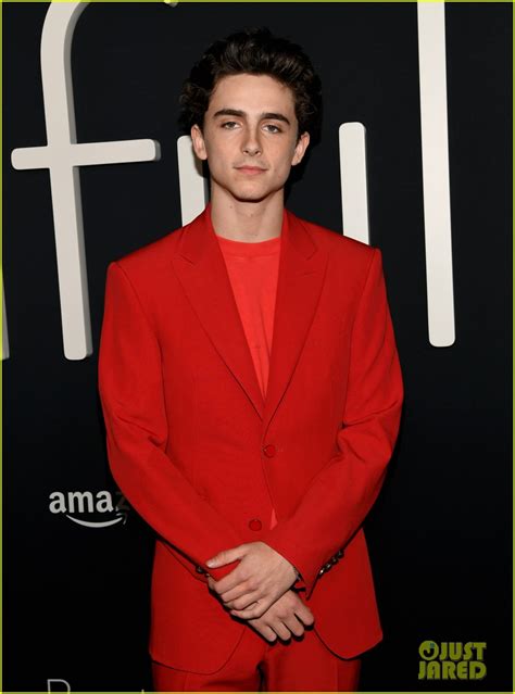 Timothee Chalamet & Steve Carell Premiere 'Beautiful Boy' in LA: Photo ...