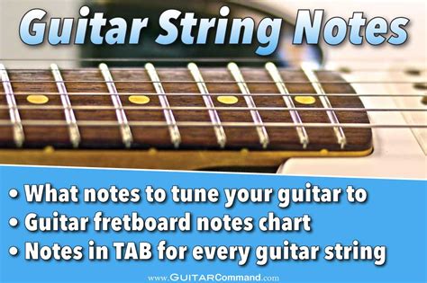 Guitar Strings Notes Chart Tab And Info Tune Up And Master The Fretboard