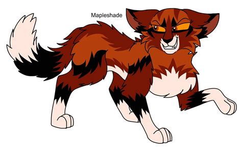 Warriors Design 252 REDESIGN Mapleshade By TheDawnmist On DeviantArt