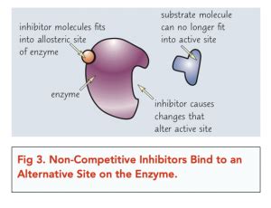 Enzymes Inhibitors A Level Biology Study Mind