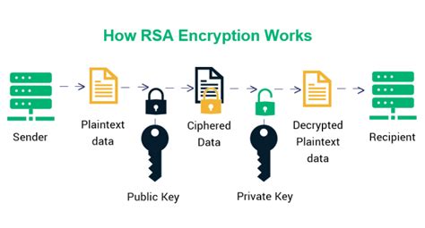 Aes Vs Rsa Encryption Performance Speed Security And More Virtual Codes Blog