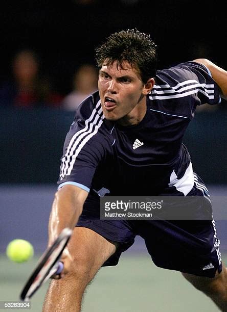 matthew gambill   premium high res pictures getty images