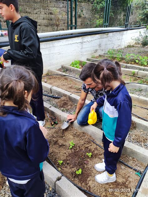 HUERTO ESCOLAR CEIP Baldomero Bethencourt Francés