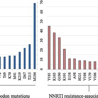 In House Assay Detection Of Nrti And Nnrti Resistance Associated Codon