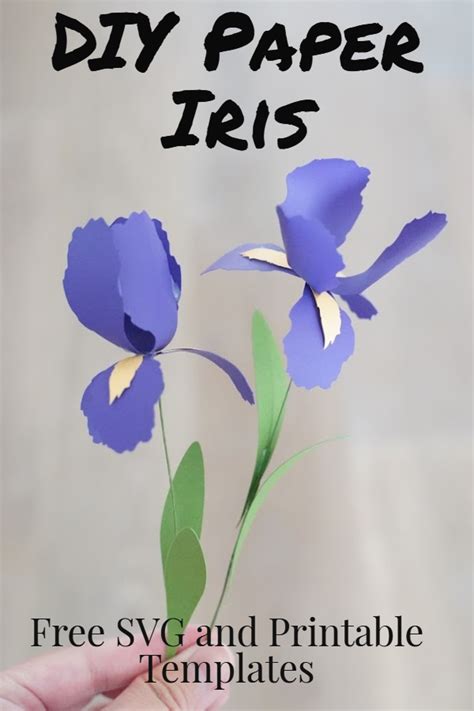 Paper Iris Flower Template Free