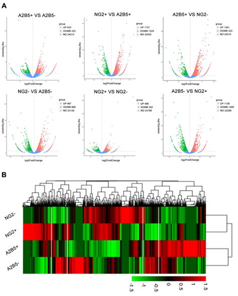 Differential Expression Analysis A Volcano Plot Illustrating Download Scientific Diagram