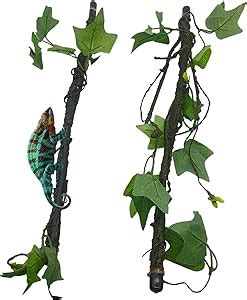 Amazon Reptile Climbing Branch Flexible Bend A Branch Jungle Vines