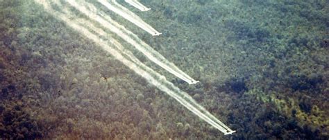 The Lingering Health Impacts Of Agent Orange During The Vietnam War